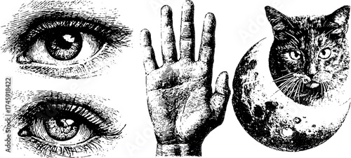 Intricate dotwork illustrations of cat in moon and human eye hand set