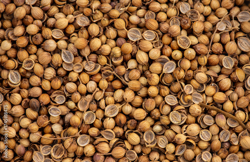 Pattern and texture with coriandrum sativum or coriander