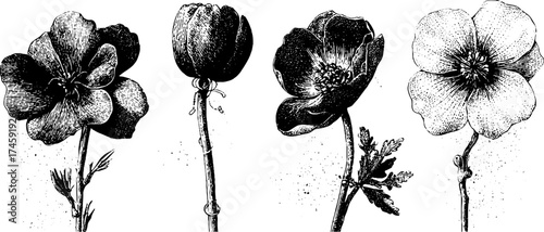 Technological fusion: flowers interwoven with metal wires and circuits