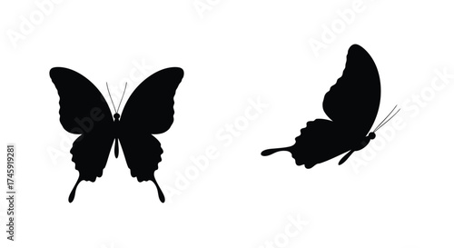 Two black silhouette butterflies depicted in different flight poses