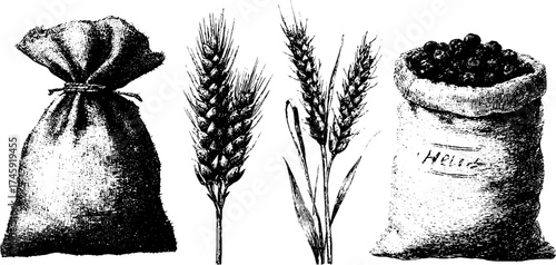 Vintage agricultural tools and harvested wheat with sacks - design for print and poster