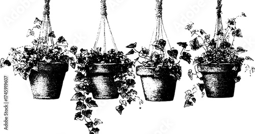 Hanging macrame planters with ivy trailing plants - set of four for home decor