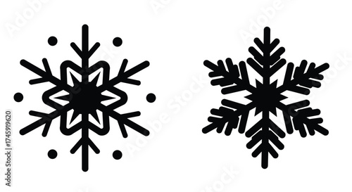 Two detailed black snowflake illustrations with unique crystalline structures shown
