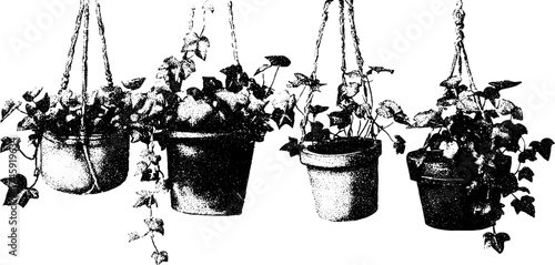 Elegant macrame hanging planters with ivy trailing plants for home decor