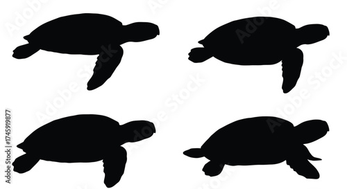 Four black turtle silhouettes arranged in a grid on white background