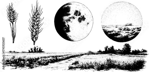Moon and wheat field in fog with detailed dotwork for design and print