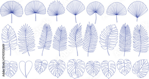 Set of Elegant Leaf Outlines for Design and Decoration, Perfect for Botanical Themes and Natural Motifs