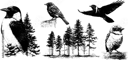 Detailed dotwork bird and tree illustrations for wildlife design and decoration