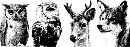 Wildlife portraits: owl, fox, deer, and wolf in detailed dotwork artwork