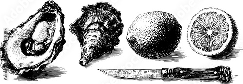 Culinary elements featuring oyster, shell, lemon, and knife for kitchen and dining decoration