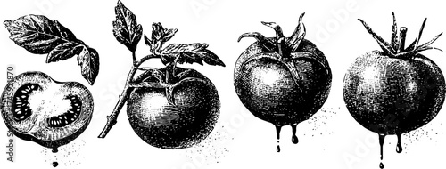 Vintage halftone tomato illustrations: sliced, whole with leaf, and sauce elements for design
