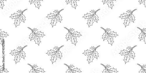 Holly branch with leaves seamless pattern. Hand drawn graphic line art vector background. 