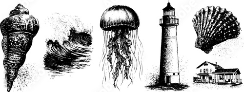 Nautical collection: seashell, wave, jellyfish, coral, and lighthouse design for print