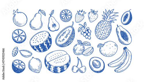 Hand-Drawn Fruit Collection - Blue Sketches of Watermelon, Pineapple, Banana, Grapes, and More
