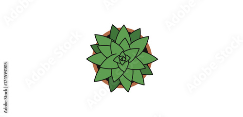 succulent plant in a pot a green succulent in a brown pot ideal for desktop wallpapers blogs and websites symbolizing growth and resilience