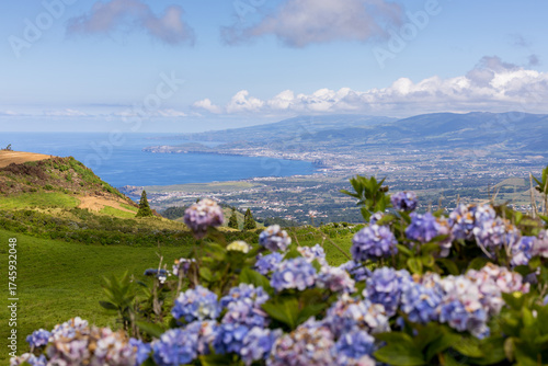 View of the northern coast and natural green pastures of São Miguel Island and blue ocean. Azores, Portugal.