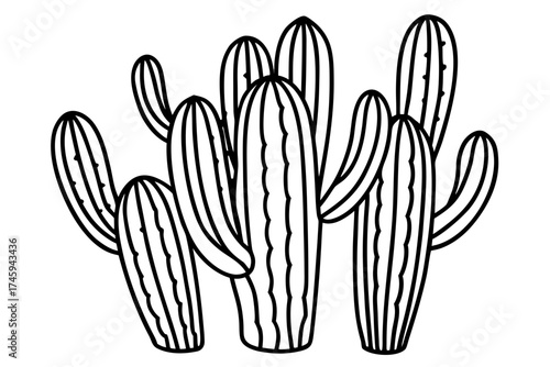 Minimal Desert Cactus Line Art Bundle – Vector Illustration on White Background