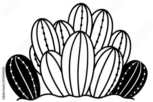 Minimal Desert Cactus Line Art Bundle – Vector Illustration on White Background