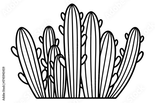 Minimal Desert Cactus Line Art Bundle – Vector Illustration on White Background