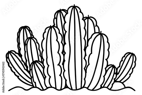 Minimal Desert Cactus Line Art Bundle – Vector Illustration on White Background