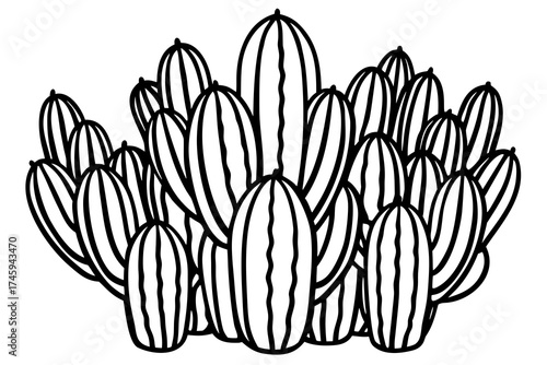Minimal Desert Cactus Line Art Bundle – Vector Illustration on White Background