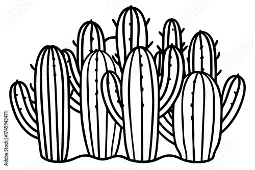 Minimal Desert Cactus Line Art Bundle – Vector Illustration on White Background
