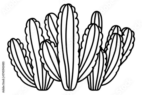 Minimal Desert Cactus Line Art Bundle – Vector Illustration on White Background