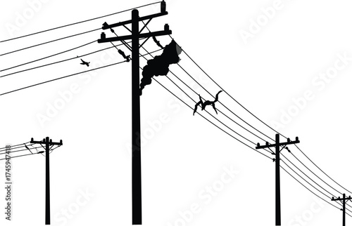 Silhouette utility poles with birds, electrical hazard, smoke effect, power lines, urban infrastructure, energy grid, 
