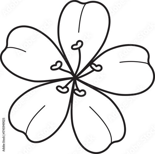 Simple five-petal flower outline illustration, botanical line art, black and white drawing, minimalist floral graphic, isolated on white