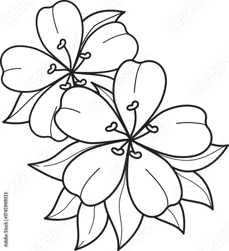 Minimalist floral line art illustration with two blooming flowers and leaves, black and white outline vector for design