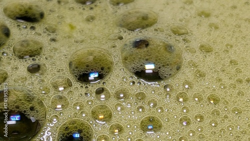 Matcha Foam Macro Series