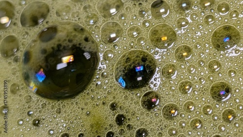 Matcha Foam Macro Series