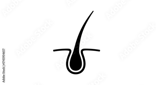 Hair follicle illustration medical symbol