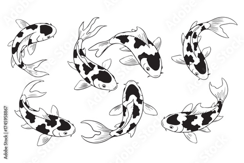 Artistic black and white illustrations of koi fish swimming in various dynamic poses, isolated on transparent background