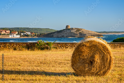 Scenic view of a hay bale in a field with Su Potu Tower and S'Archittu beach in the background, Sardinia, Italy