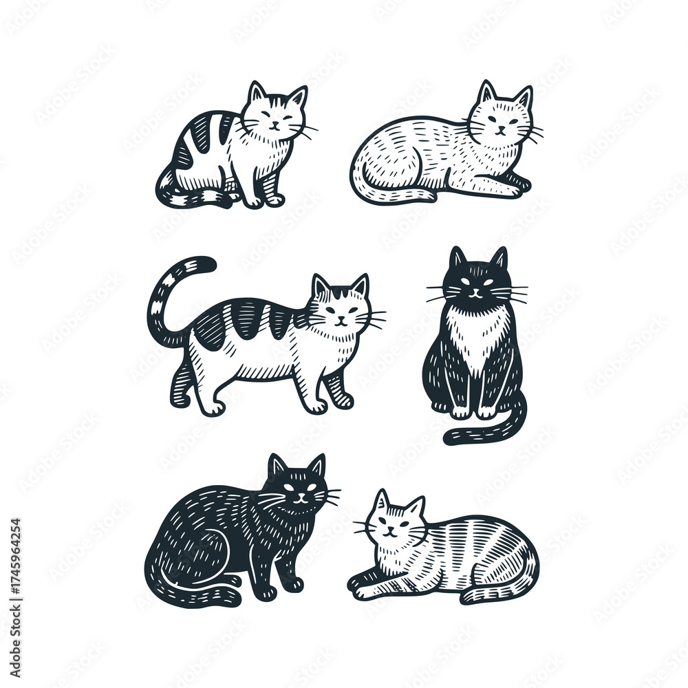Fototapeta premium Adorable kitten cats pattern of icons sketch – Black and White Icon Vector and Illustration
