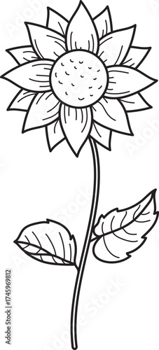 Simple Sunflower Line Art Illustration. Black and White Botanical Outline for Coloring Book or Design Element.