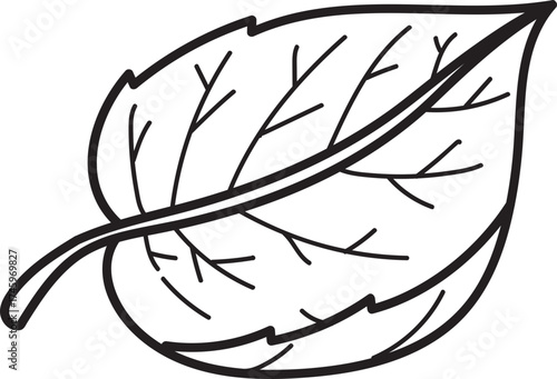 Stylized botanical leaf outline illustration. Simple black line drawing of a natural leaf with prominent veins, a versatile design element.