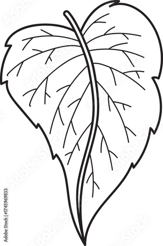 Simple Line Art Leaf Illustration with Veins, Black and White Botanical Graphic Element