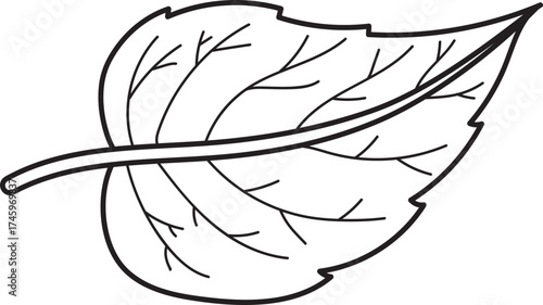 Single Leaf Outline Vector Illustration. Botanical Line Art Drawing. Nature Element. Minimalist Graphic Design Resource.