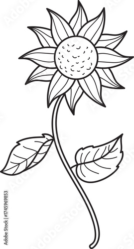 Simple Sunflower Line Art Illustration. Black and white outline drawing of a botanical flower with stem and leaves.