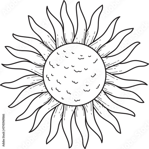 Stylized Sun Line Art Illustration. Hand Drawn Celestial Symbol. Black and White Outline Graphic Element.