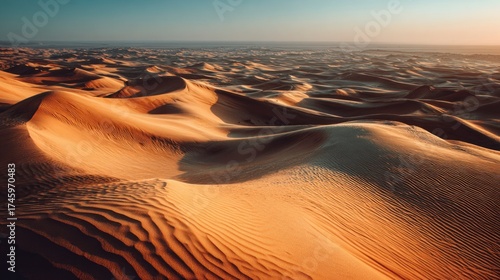 Desert sand dunes sunrise panorama