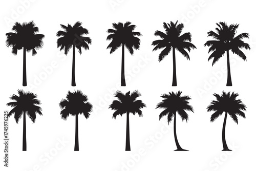Collection of black silhouette palm trees isolated on transparent background, showcasing various shapes and sizes for tropical design elements
