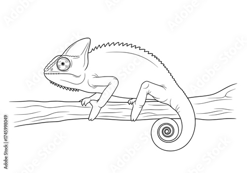 Detailed chameleon illustration on branch, captivating wildlife art, stunning animal outline for creative projects, educational resources, and coloring pages