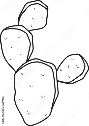 Prickly Pear Cactus Line Art Illustration on White Background