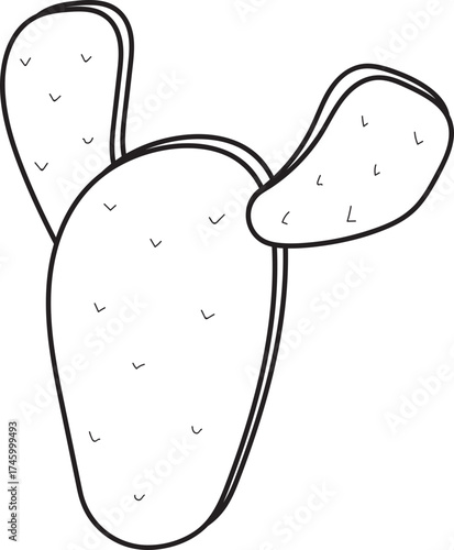 Prickly Pear Cactus Line Art Illustration Isolated on White Background