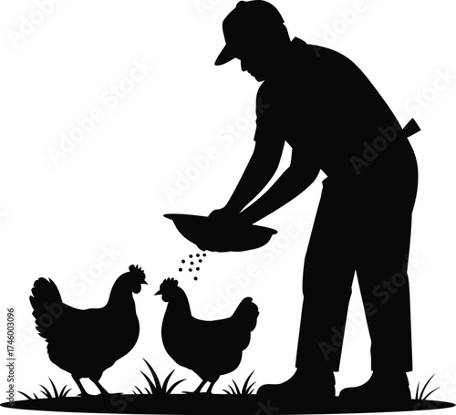 Farmer silhouette feeding chickens on the ground during daytime