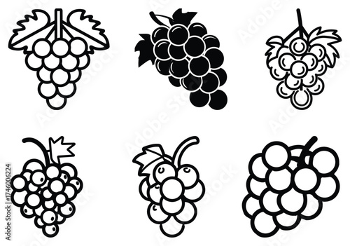 Several bunches of grapes are depicted in various styles and arrangements against white background