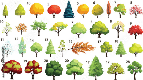 Diverse collection of illustrated deciduous and coniferous trees, showcasing a variety of shapes, sizes, and seasonal colors